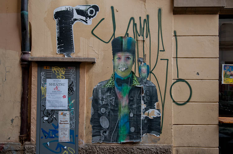 Street art Bologna 2014_paste_up_parrot