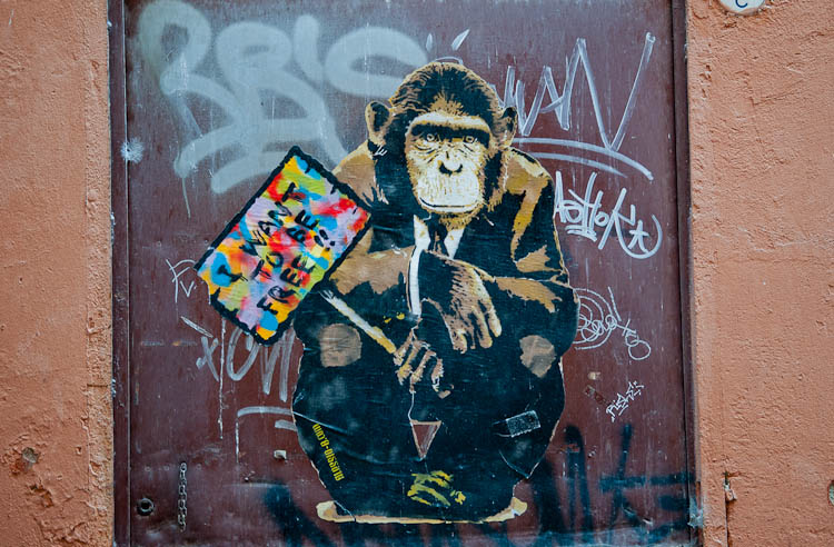 street art bologna italy monkey