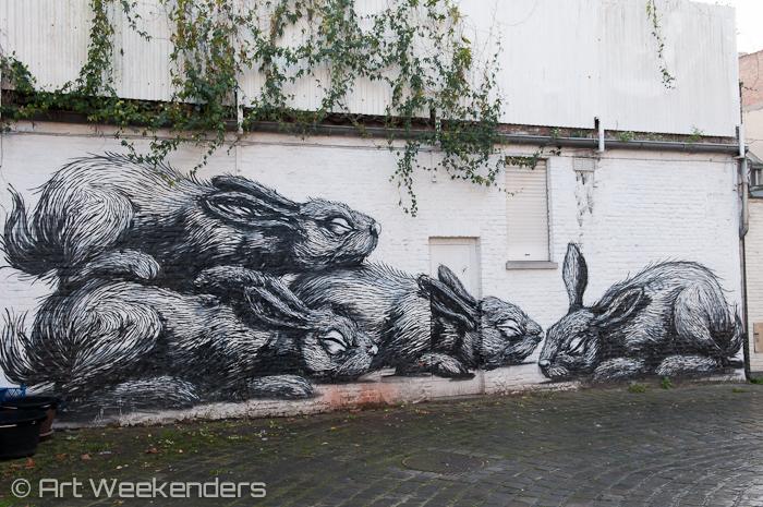 Belgium Ghent Streetart ROA Concrete Canvas