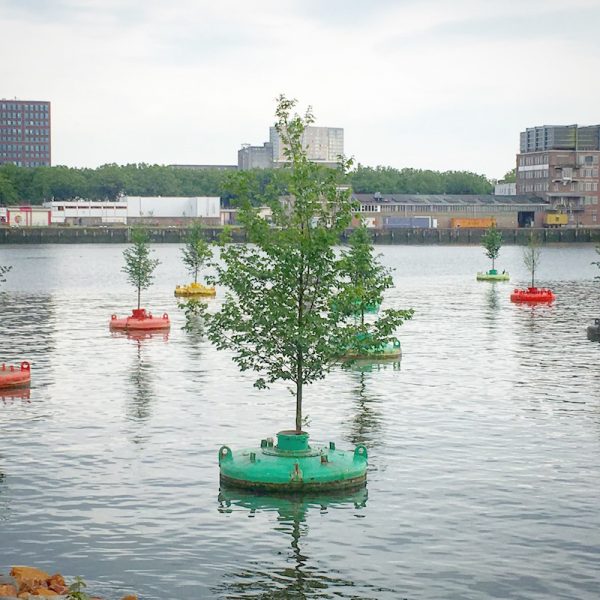 Bobbing-forest-rotterdam-the-netherlands-dobberend-bos-floating-trees