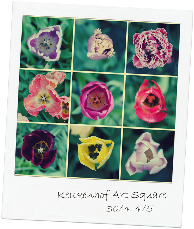 Keukenhof-Art-Square